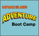 Logo Logo