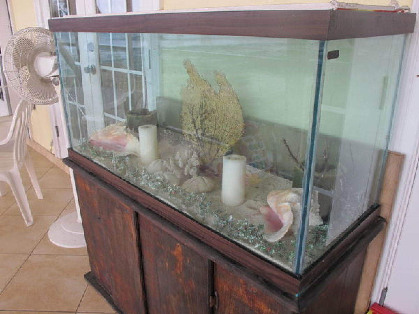 90 Gallon Fish Tank