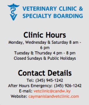 The Veterinary Clinic & Specialty Pet Boarding 