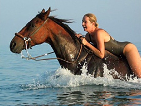 Coral Stone Stables