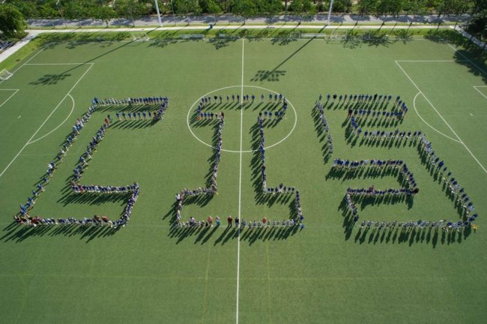 Cayman International School