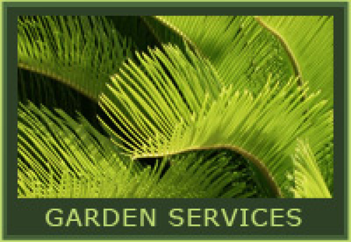 Thompson Landscapes Ltd