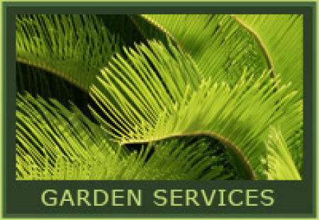 Thompson Landscapes Ltd