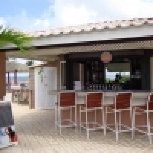 Blue Iguana Grill The