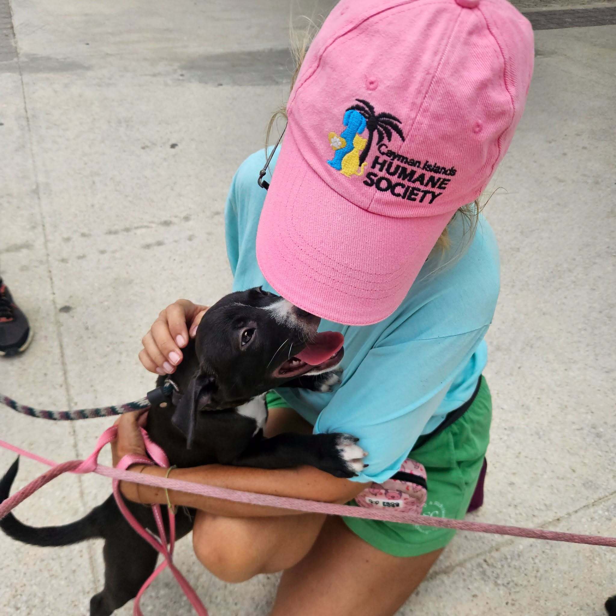 Cayman Islands Humane Society