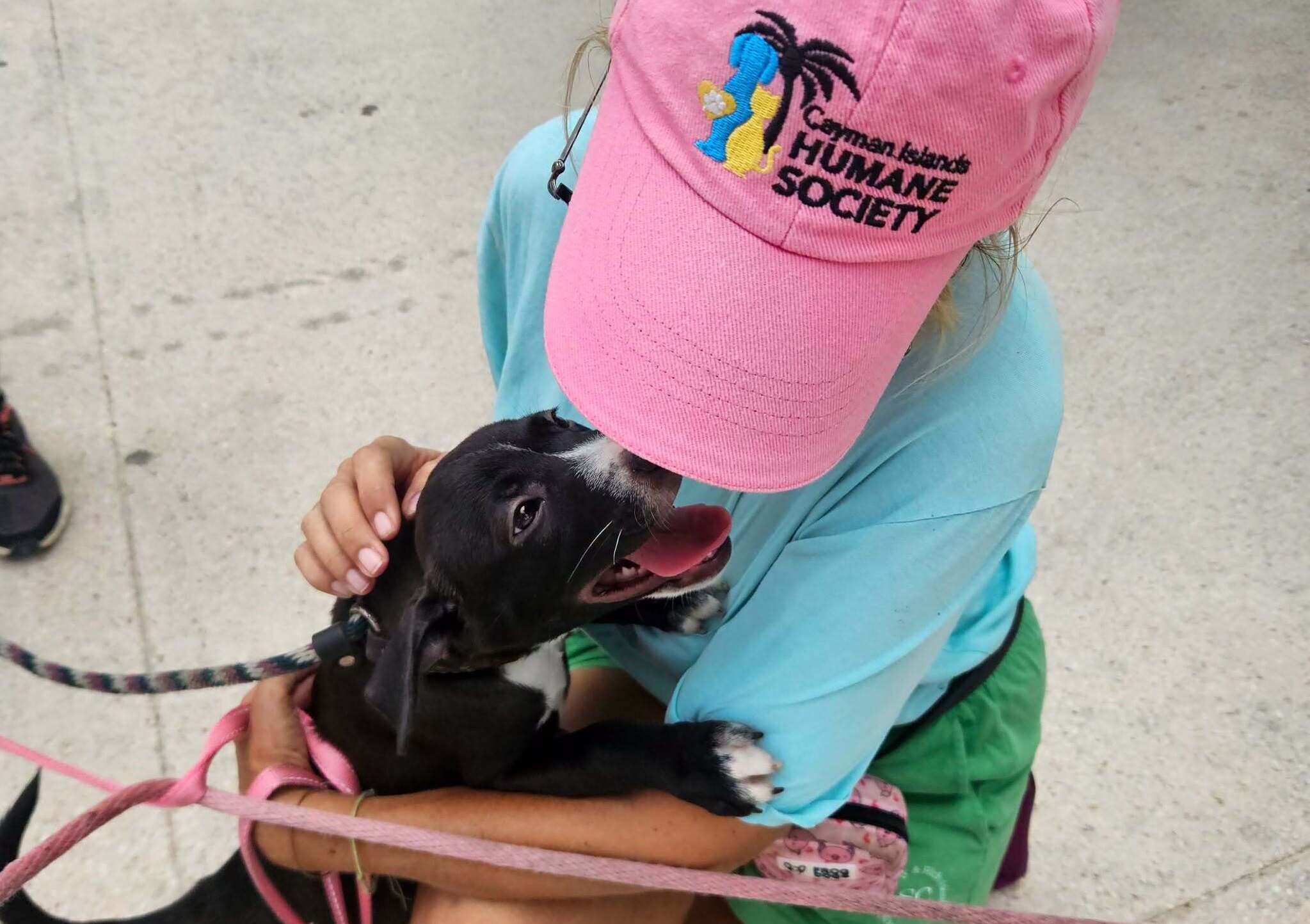 Cayman Islands Humane Society