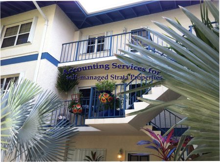 Custom Accounting Solutions
