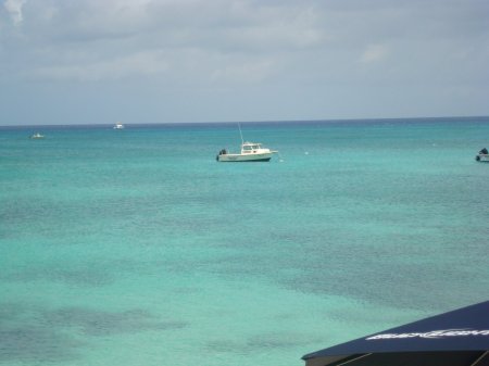 Cayman Marine Lab