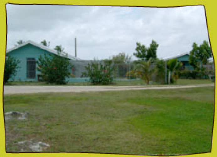 Cheval Ranch/Pet Paradise