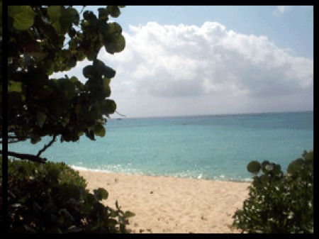 Bevandale Island Weddings