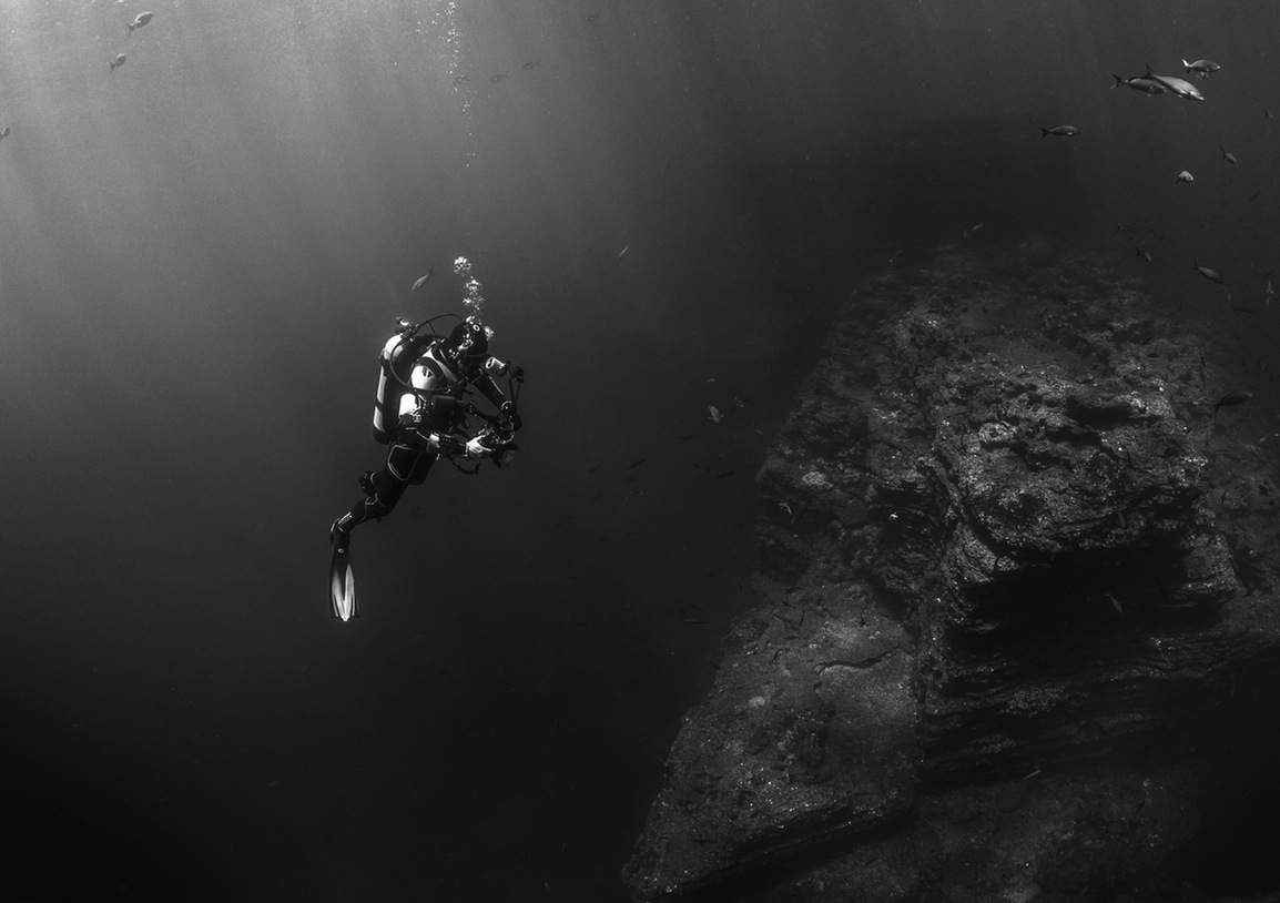 Diving on Little Cayman Beach 