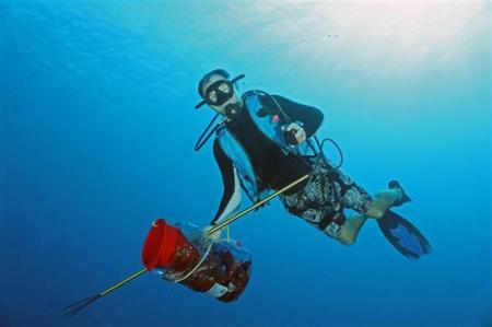 Cayman Marine Lab