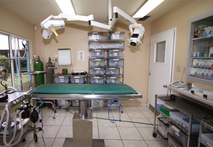 Cayman Animal Hospital