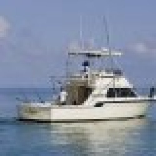 Cayman In A Nutshell