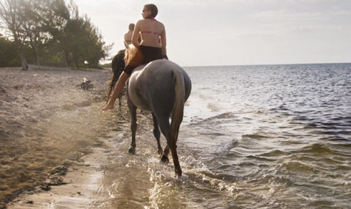 Nicki's Beach Rides