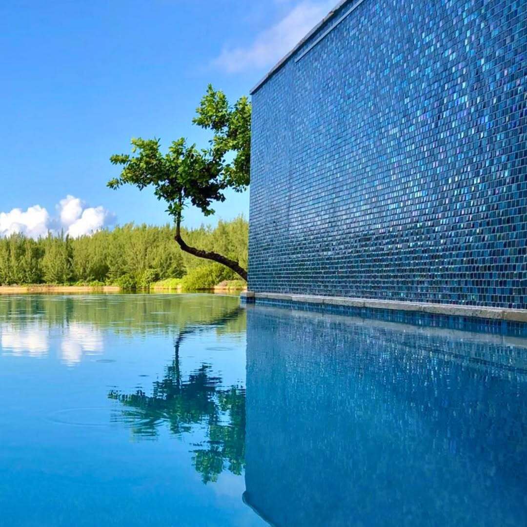 Oasis Pool & Spa