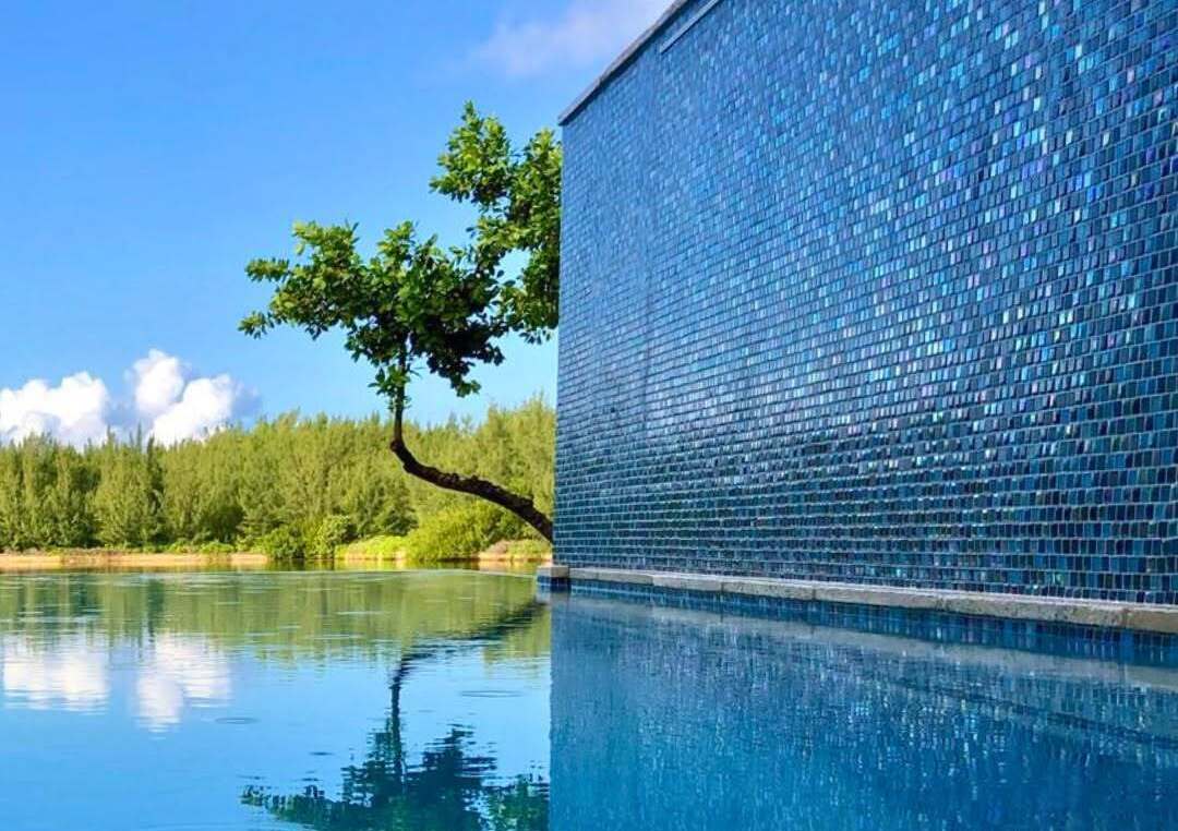 Oasis Pool & Spa