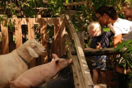 Little Trotters Farm & Nursery School