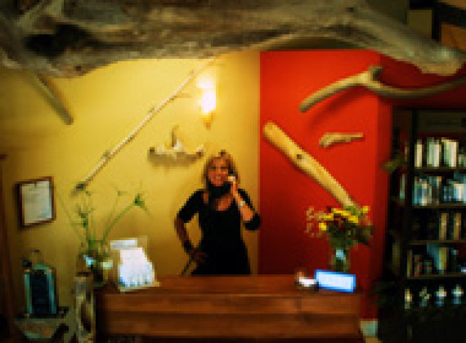 Paige & Co Hair & Beauty Studio