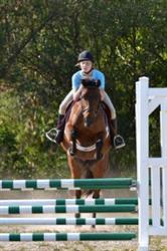 Equestrian Center Riding School & Boarding Stables
