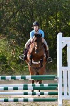 Equestrian Center Riding School & Boarding Stables