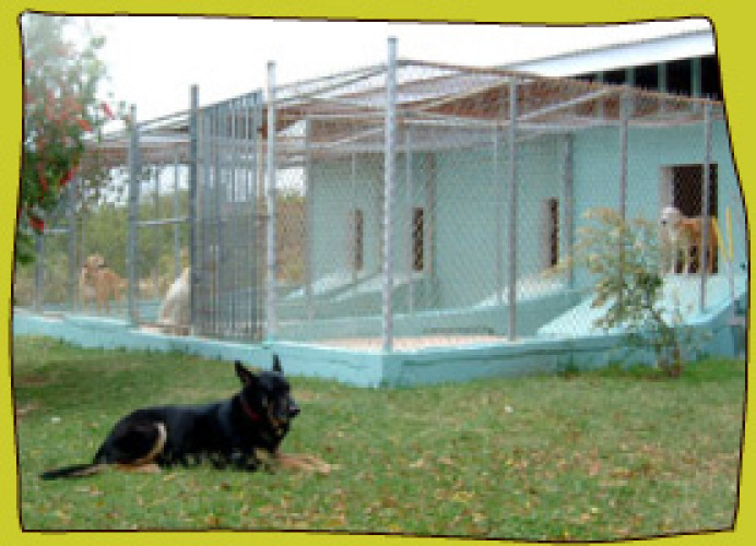 Cheval Ranch/Pet Paradise