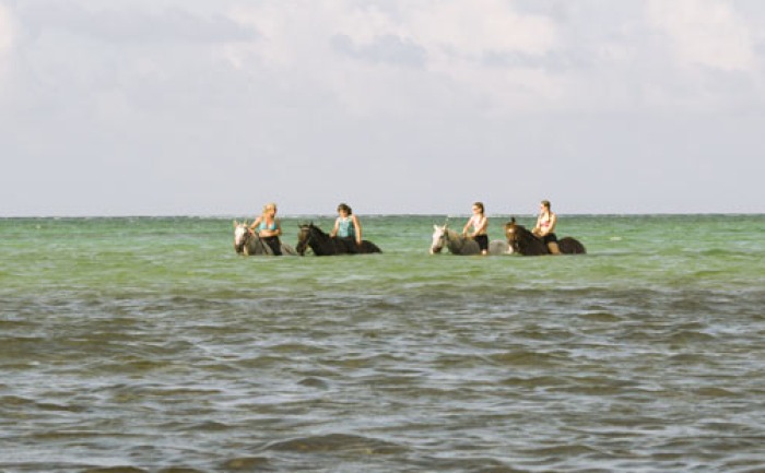 Nicki's Beach Rides