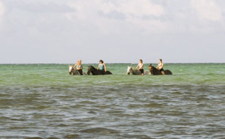 Nicki's Beach Rides