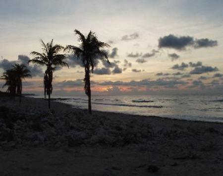Captain Shelby's Charter Boat Operation