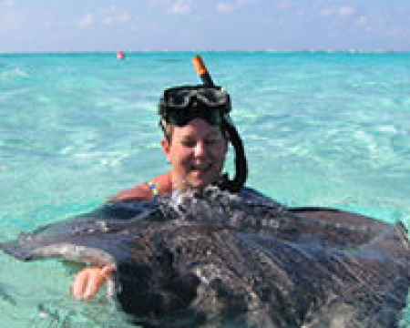 Bayside Watersports Ltd