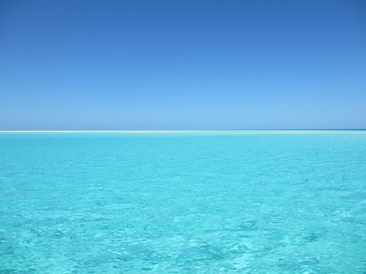 Stingray City