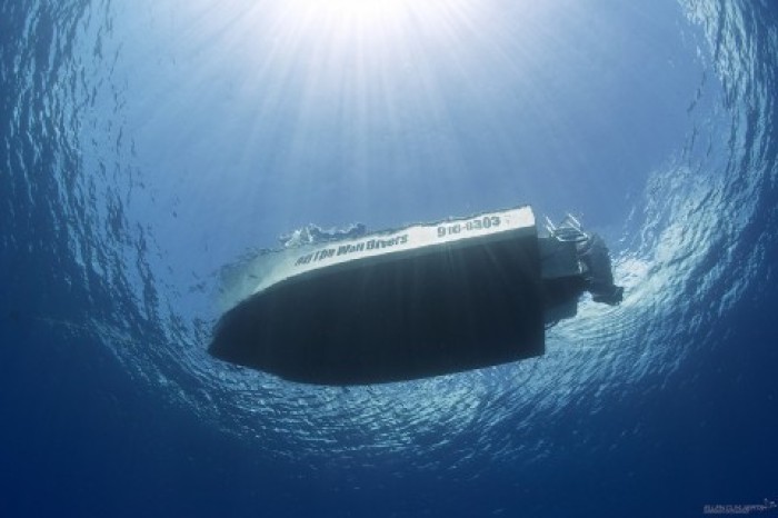Off The Wall Divers