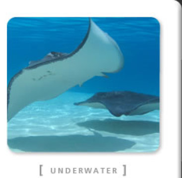 VIP Productions - Videography