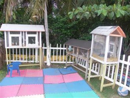 Tiny Tots Academy
