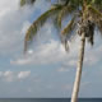 Discovery Point Club The