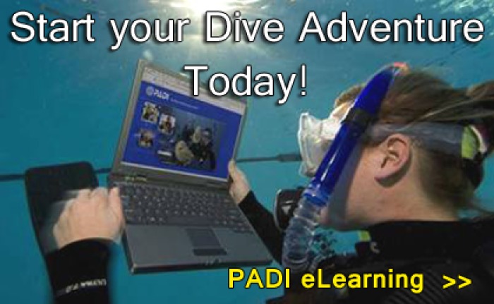 Cayman Diving College