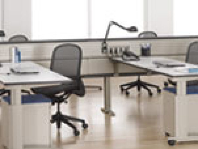 Cayman Office Concepts