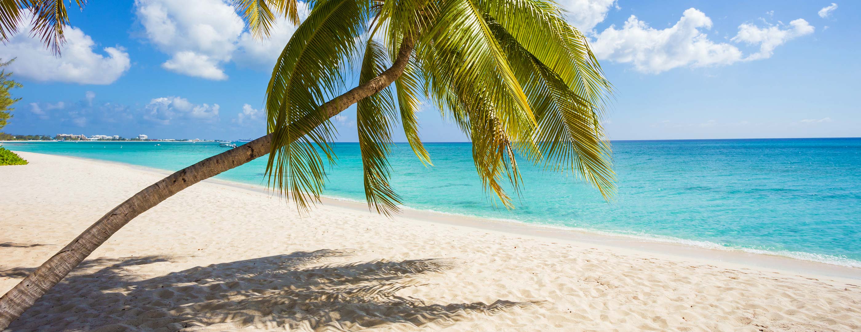 Cayman Islands Guide Your Hub for Local Info