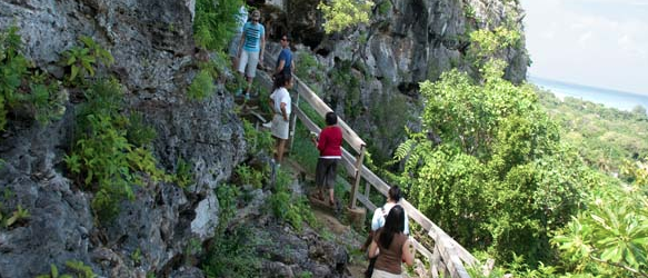 Cayman Islands Mastic Trail 