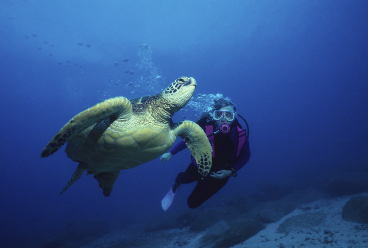 Cayman's Top Dive Sites: Part 1