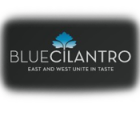 Blue Cilantro
