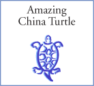 Amazing China Turtle