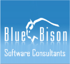 Blue Bison Software Consultants Ltd