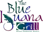 Blue Iguana Grill The