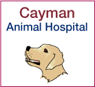 Cayman Animal Hospital