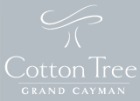 Cotton Tree