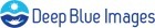 Deep Blue Images Photography & Videography