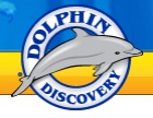 Dolphin Discovery