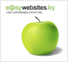 Easy Websites