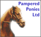 Pampered Ponies Ltd